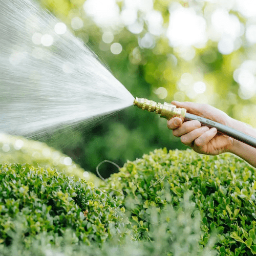 Neta Brass Click-On Jumbo Nozzle 12mm