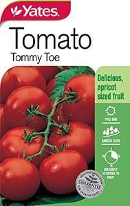 Yates Tomato Tommy Toe Seeds