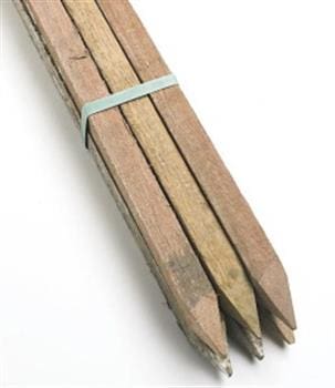 Timber Stake 25x25x1800mm