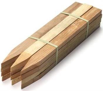 Timber Stake 50x25x900mm