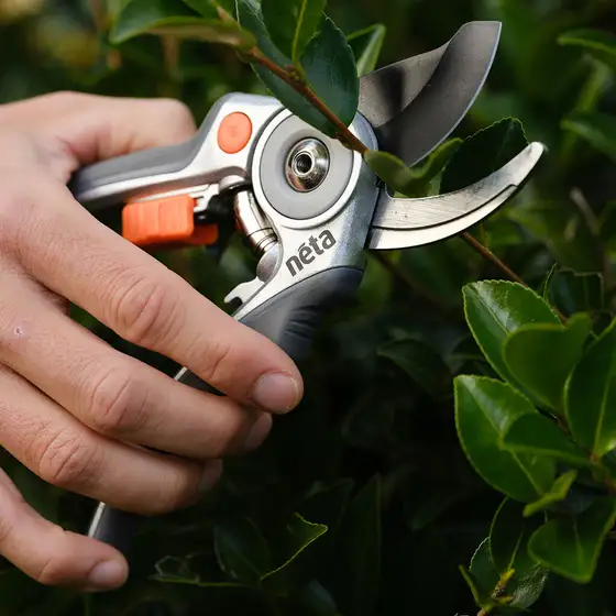 Baypas Neta Neta Bypass Secateurs | North West Hardware