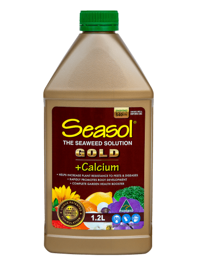 Seasol Gold Fertiliser Concentrate 1.2L